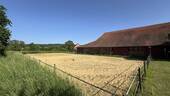 Reitplatz - Bauernhaus, Landhaus mit 279,00 m&sup2; in Bockenem zum Kaufen