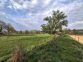 Wiese - 