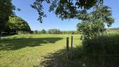 Wiese - 