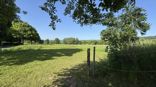 Wiese - 