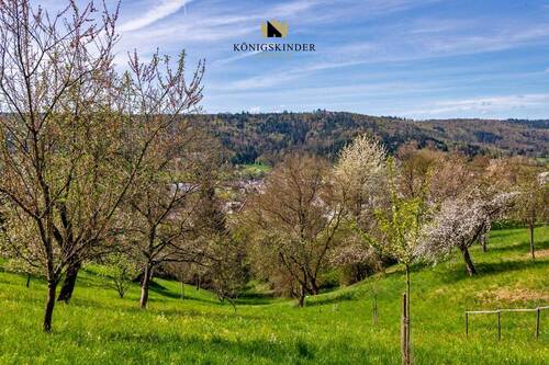 Umgebung - 