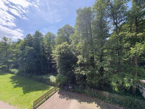 Ausblick ins Grüne - 