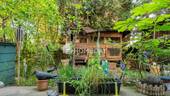 Ausblick - 