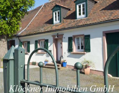 Frontansicht - 