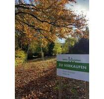 Attraktives Baugrundstück in bester Lage von Roetgen - ca. 780 m² mit schöner Aussicht ins Grüne