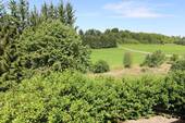 Weitblick in die Natur - 