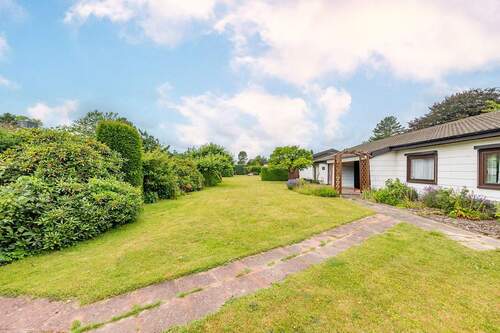 Eingewachsener Garten - 