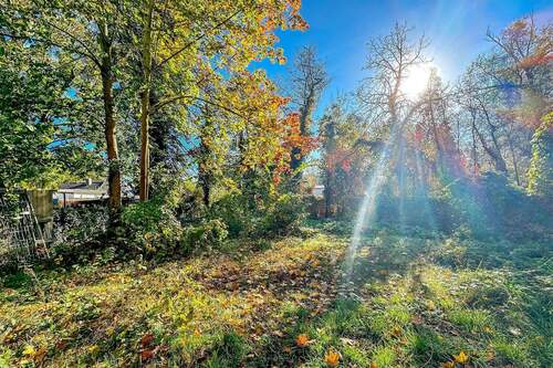 Grundstücksansicht - Grundstück in Königs Wusterhausen
