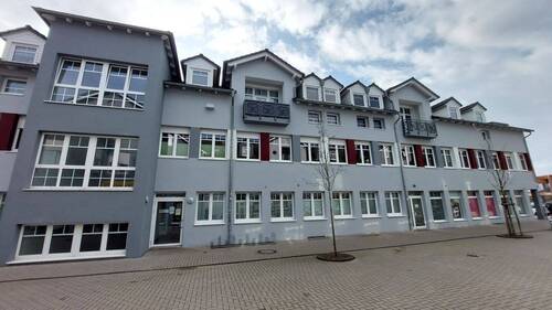 20240212_110308.jpg - 