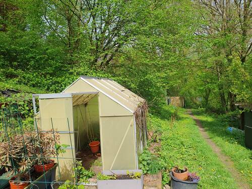 Werden Sie Waldbesitzer - 