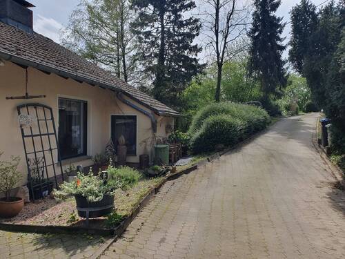 Zufahrt vom Haus aus gesehen - 