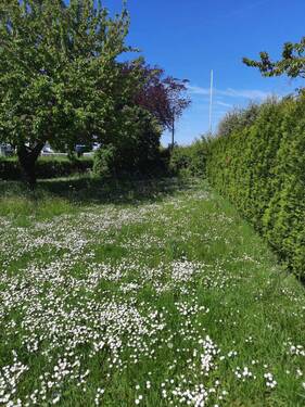 1bd85381-aaf6-435c-bfd5-9029244f61f8.jpeg - Verkehrsgünstiges Grundstück mit vielfältigen Bebauungsmöglichkeiten in Geldersheim Schweinfurt