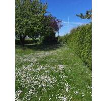 Verkehrsgünstiges Grundstück mit vielfältigen Bebauungsmöglichkeiten in Geldersheim Schweinfurt