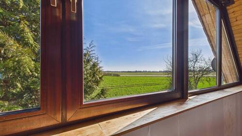 Blick in die Natur - 