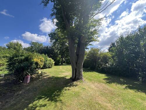 Blick in den Garten - 
