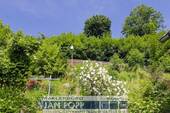 Garten hinter dem Haus - 