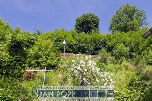 Garten hinter dem Haus - 