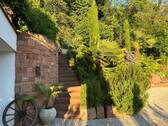 Gartenimpressionen - 