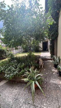 6 - Innenhof - 
