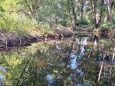 An der Löcknitz - Grundstück in Grünheide (Mark)