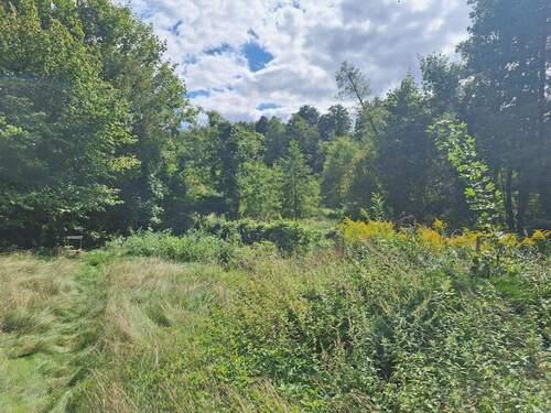 Blick Richtung Naturschutzgebiet - 