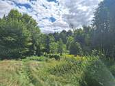 Blick Richtung Naturschutzgebiet - 
