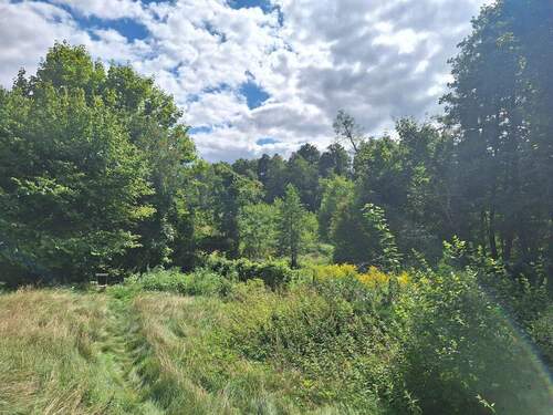 Blick Richtung Naturschutzgebiet - 