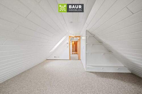 Dachspitz - 
