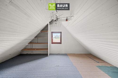 Dachspitz - 