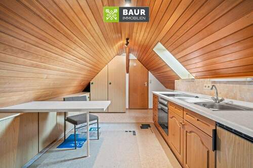Dachspitz - 