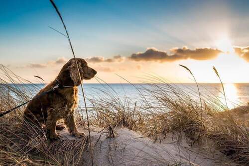 iStock-544743968.jpg - 