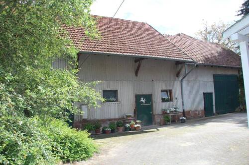 Bild 11 - 