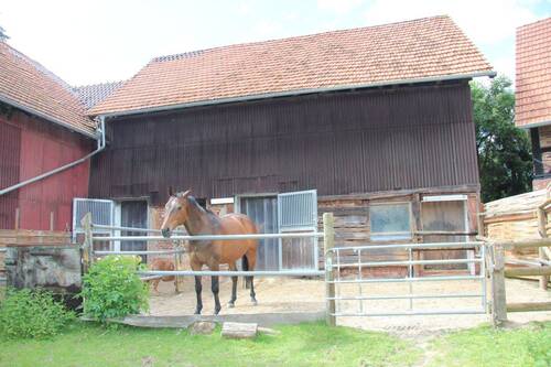 Bild 17 - 