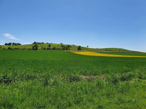 Der Offenberg, der Namensgeber - 