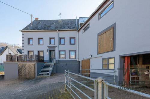 Vorderansicht - 6 Zimmer Einfamilienhaus zum Kaufen in Ralingen