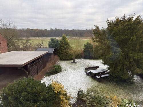 Blick in den Garten - 