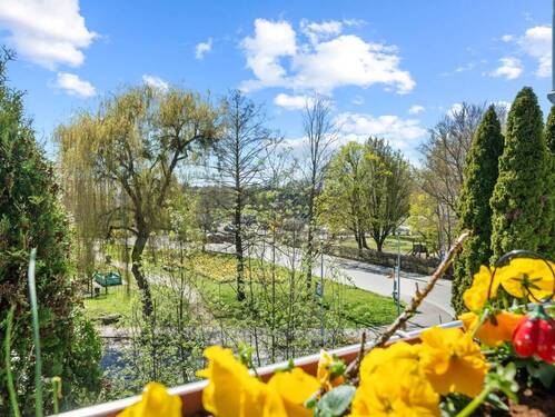 Blick vom Balkon ins Grüne - 