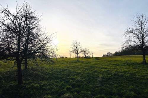 Sonnenuntergang am Ortsrand - Grundstück in Eching