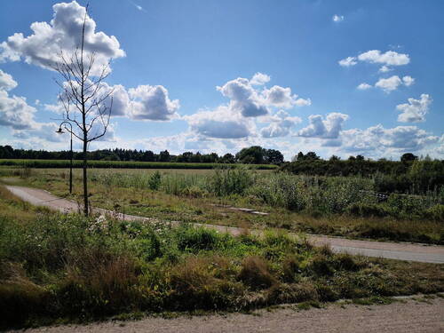 Bild 4 - Einfamilienhaus mit 141,00 m&sup2; in Harsefeld zum Kaufen