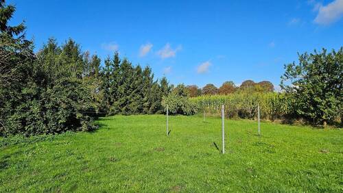 Wiese am Haus.jpg - 