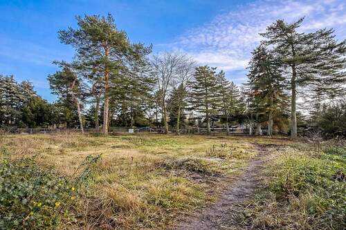 Blick auf die vordere Teilfläche - Grundstück in Berlin zum Kaufen