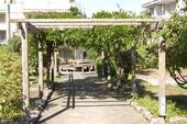 Pergola - 