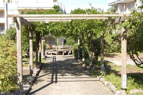 Pergola - 