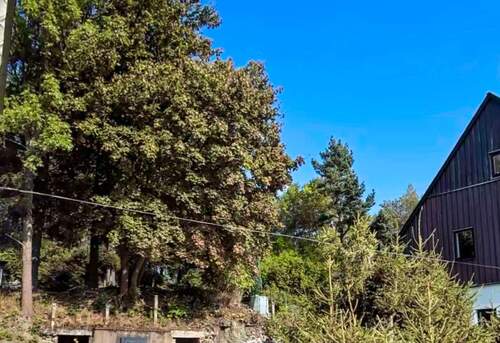 Ansicht des Grundstücks - Grundstück für Ihr Ein- oder Mehrfamilienhaus in zentraler Lage von Altenberg