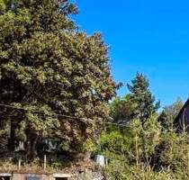 Grundstück für Ihr Ein- oder Mehrfamilienhaus in zentraler Lage von Altenberg