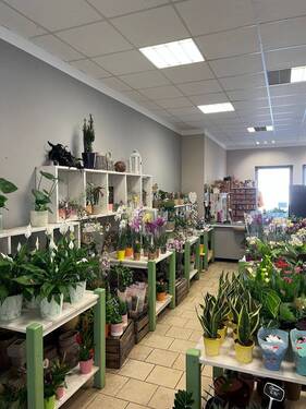 Verkaufsfläche (2).jpg - Gewerbeobjekt (Büro, Produktion, Verkauf) in Stralsund zur Miete