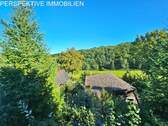 Aussicht - 3 Zimmer Einfamilienhaus zum Kaufen in Brensbach