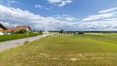 Ausblick - 