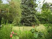 Idyllischer Garten - 7 Zimmer Einfamilienhaus zum Kaufen in Berlin