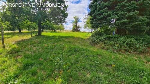 Wiese hinter der Scheune - 